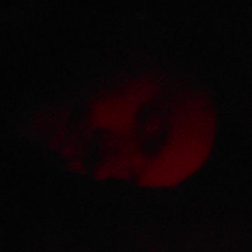 Can't Sleep 2022-03-10