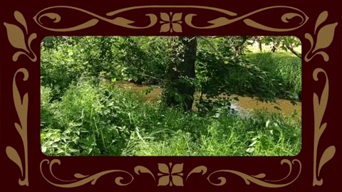 Ragtime Memories - Grace and Beauty | Воспоминания о регтайме - грация и красота