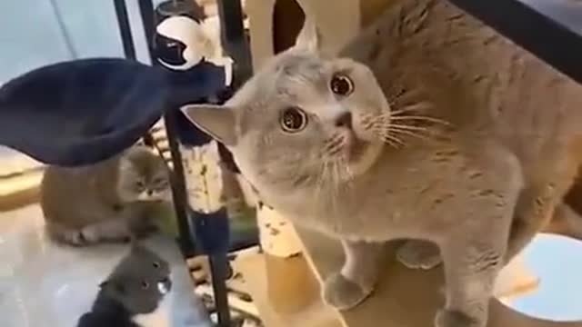 great video