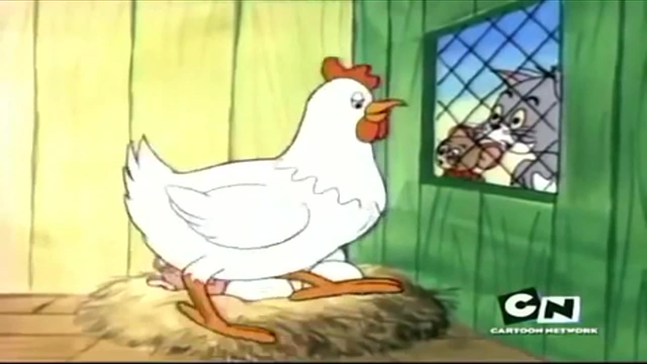 Tom and jerry. Fun time