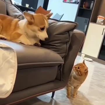 There are more and more victims of domestic Vasily