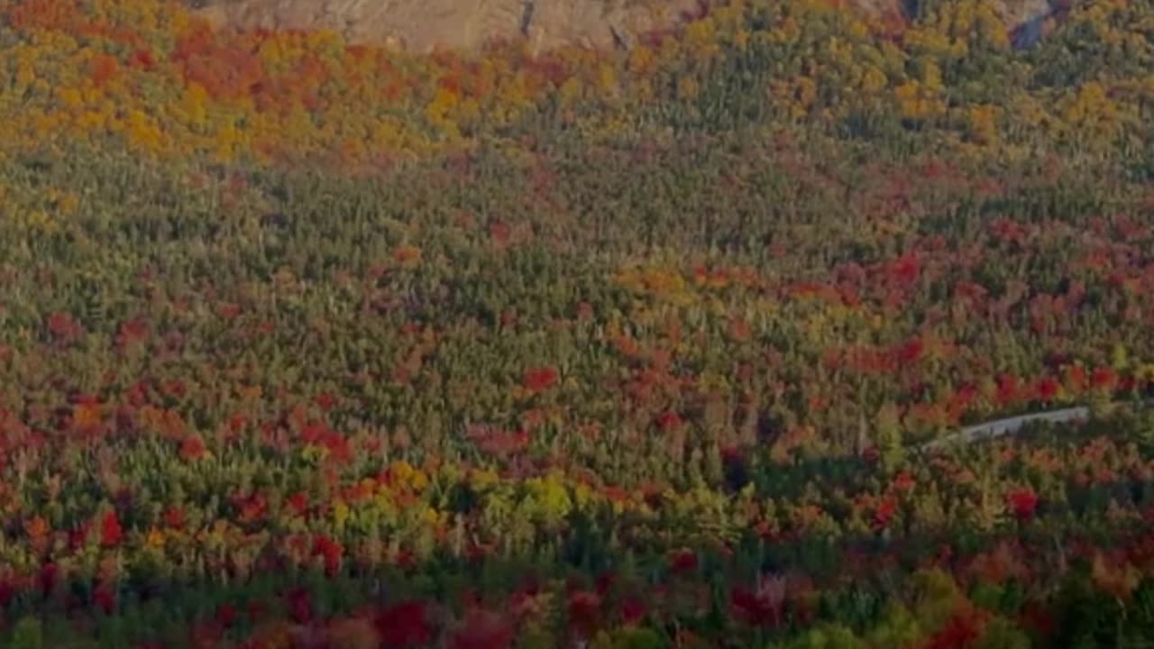 Beautiful view