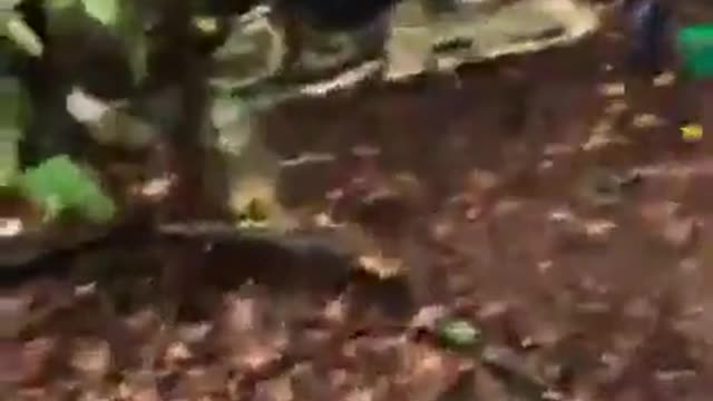 Ukrainian soldiers attack a position of pro-Russian forces, managing to capture several soldiers.