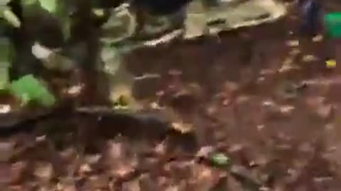 Ukrainian soldiers attack a position of pro-Russian forces, managing to capture several soldiers.