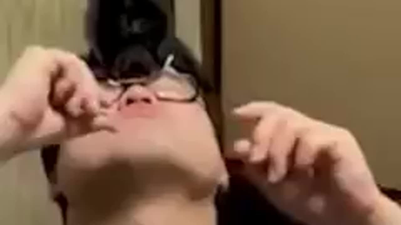Funny Video | Really Funny Video |