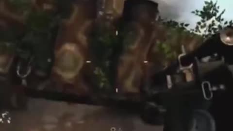 Tiger Tank by the Balls