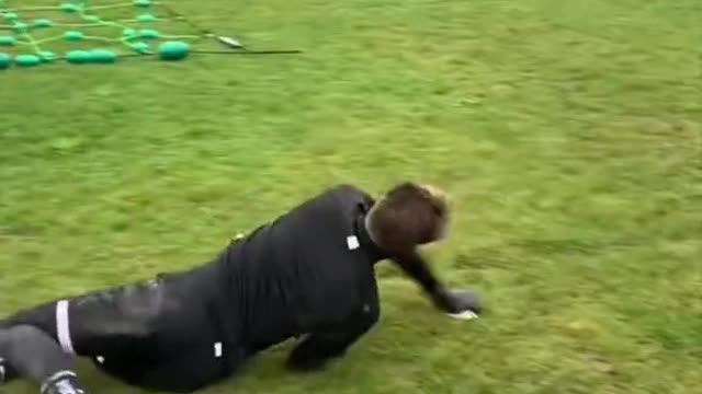 estate in front of you clearing the area of about 30