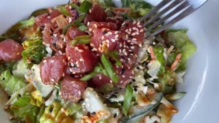 An amazing seafood feast