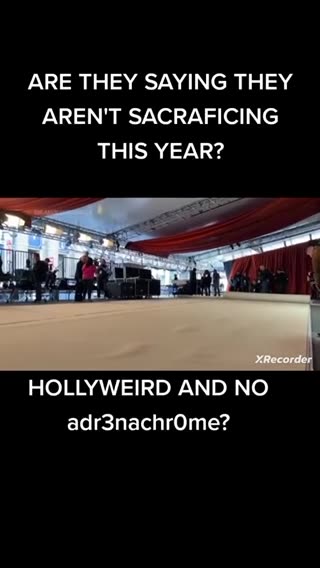 These People Are Sick 🐇