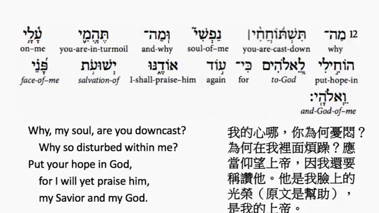 psalm 42 in hebrew _ salmo 42 en hebreo