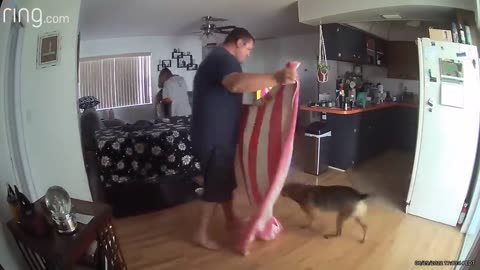 FUNNY DOG VIDEO 🤣🤣🤣🤣🤣