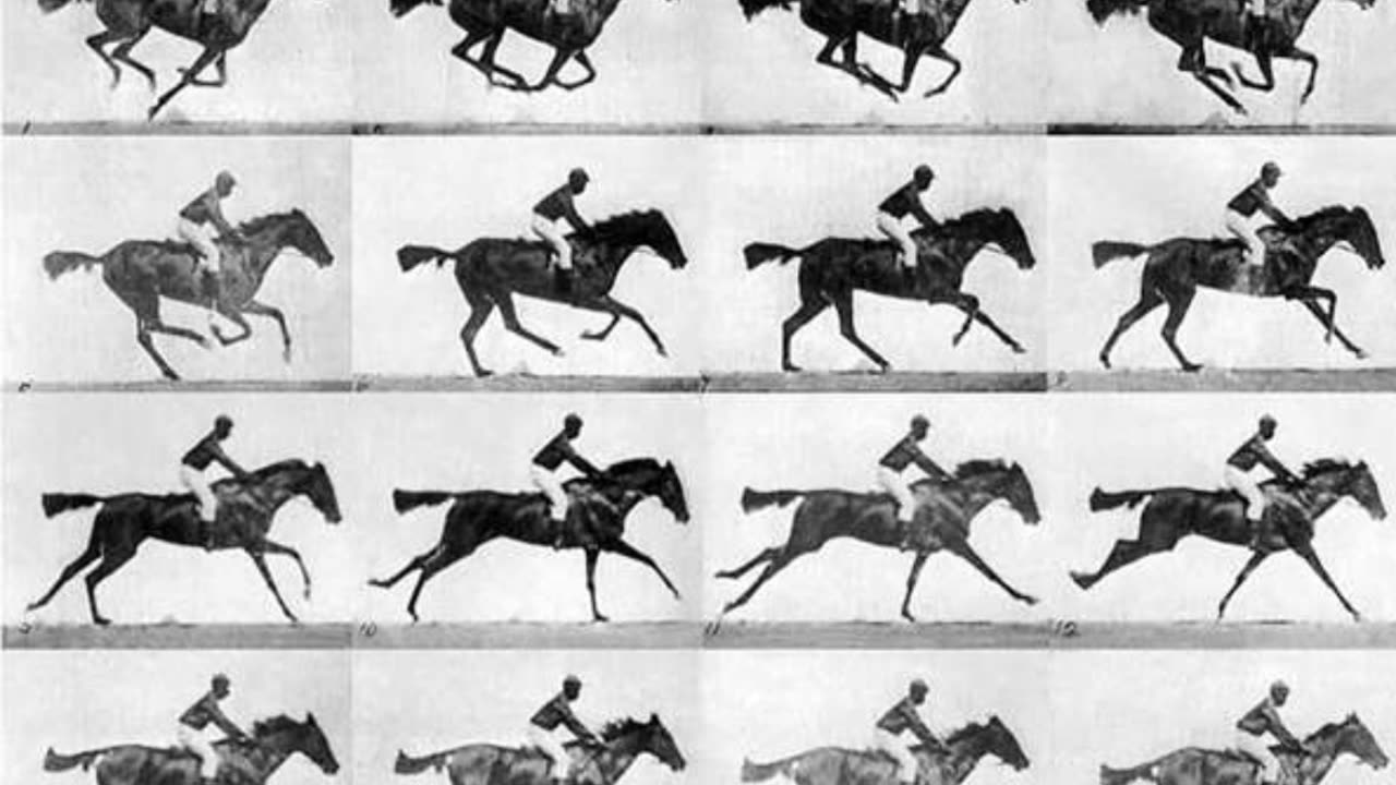 Muybridge's Horse Photos & Einstein's Famous Tongue Photo