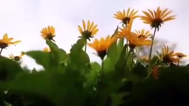 Time with God - October 7