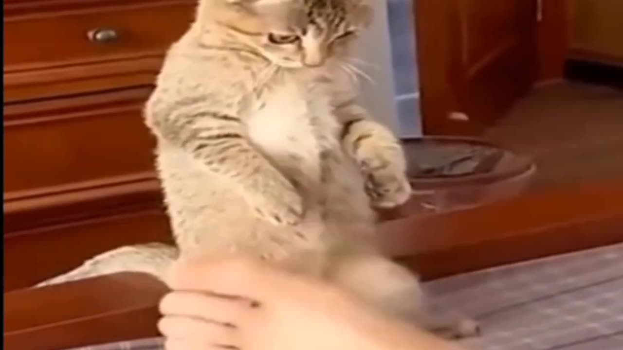 ❤️Happiness for all❤️