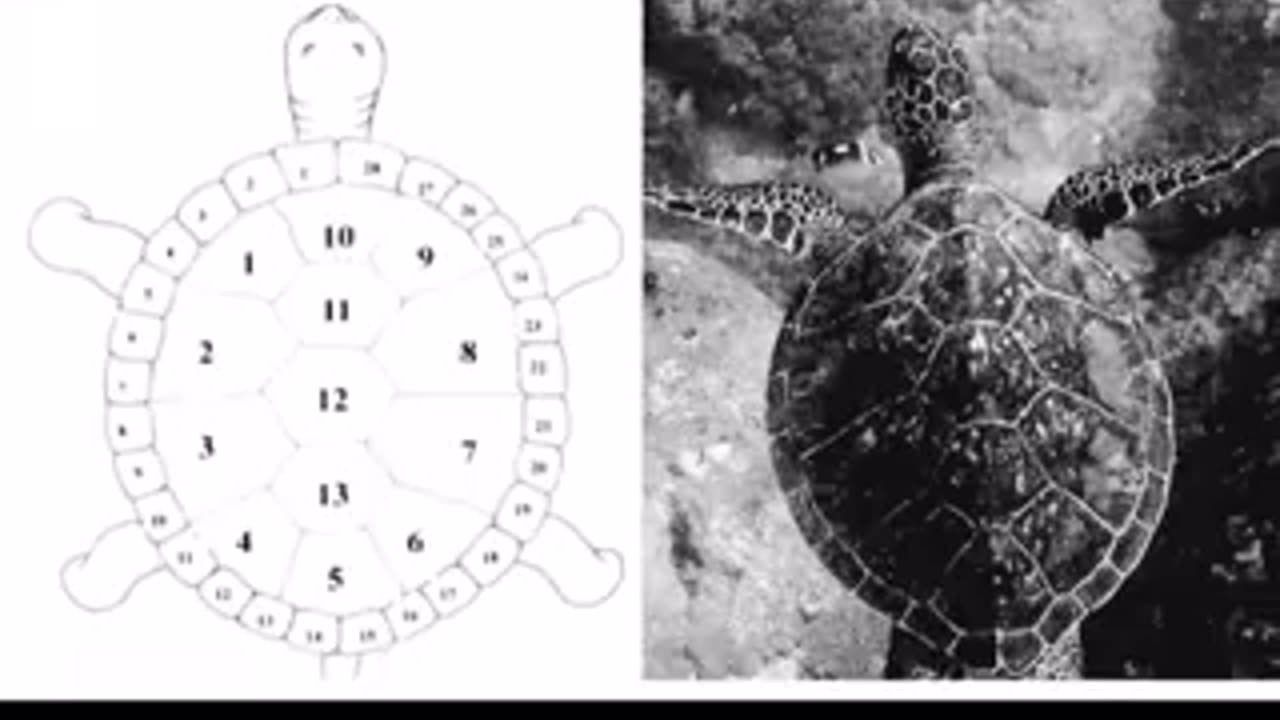 Our true calendar and its cycles