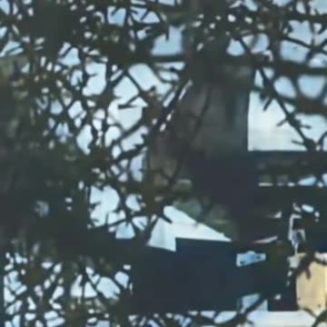 18 ⚔️ In gaming, if the enemy fortifies, then outmaneuver them