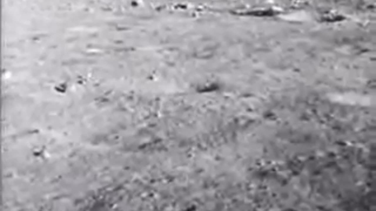 Neil Armstrong first time landing on moon 1969