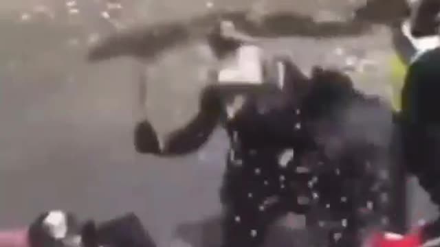 WHEN PROTESTERS STRIKE BACK