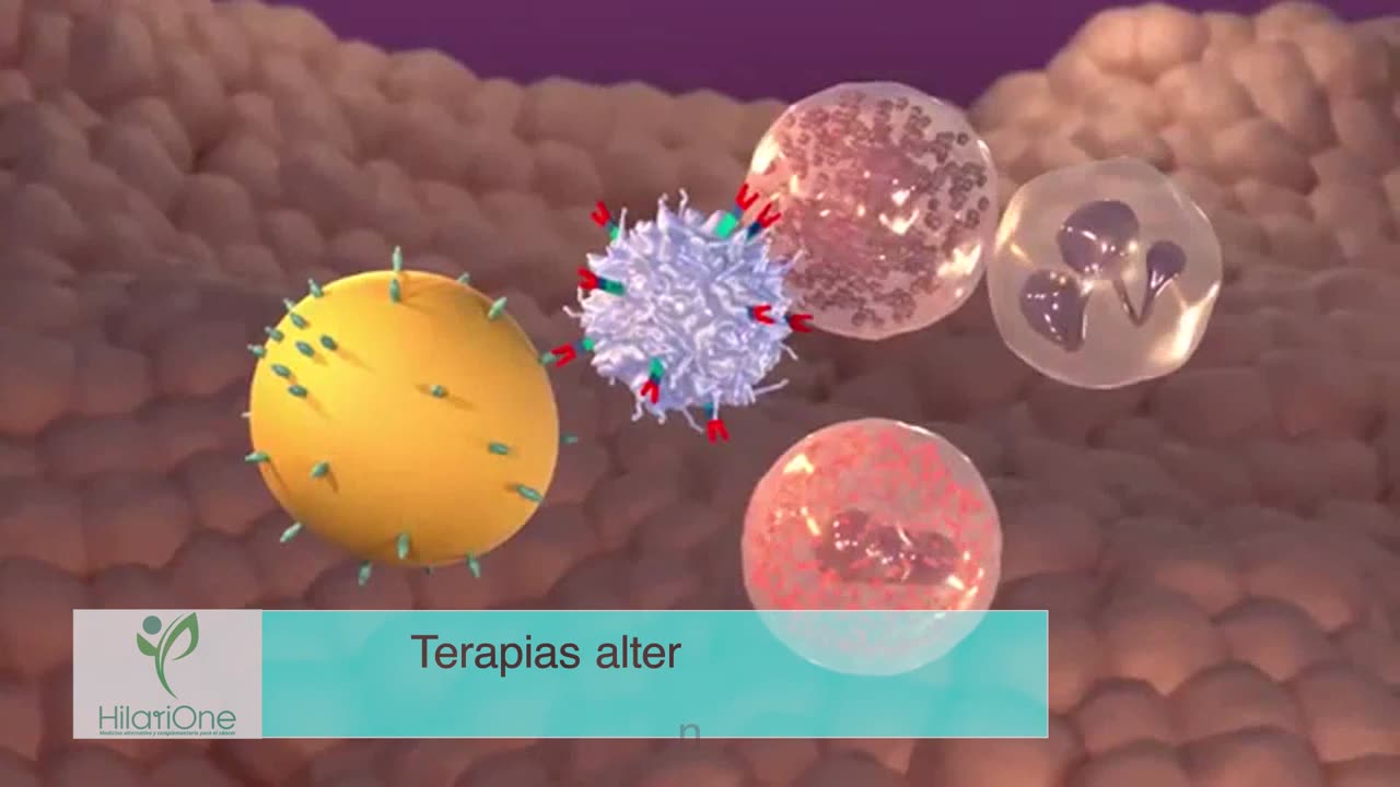 Desnutrición y el sistema inmunológico