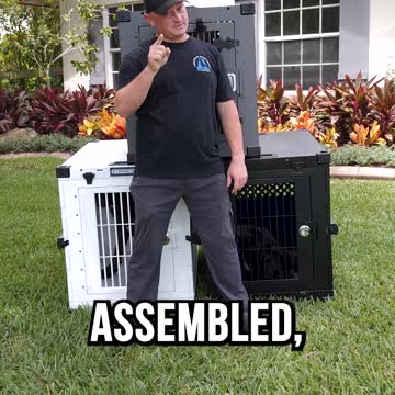 The BEST Crate for Your Dog