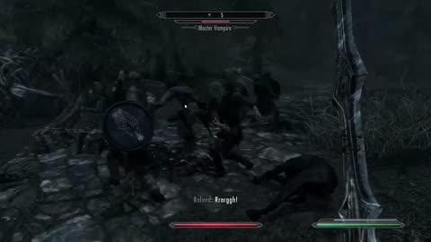 Skyrim - vampires attack the wrong town