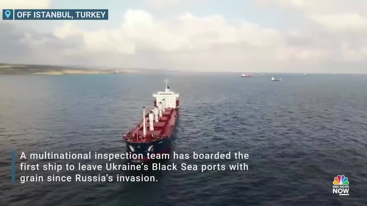 Ship Carrying Grain From Ukraine Stopped For Checks Off Istanbul