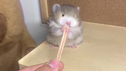 So tiny and really so cute!