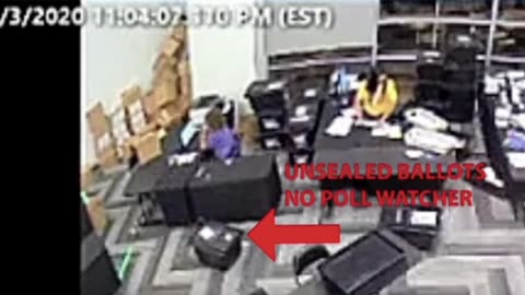 When they say, 'Where’s the evidence of election fraud' Show them this video