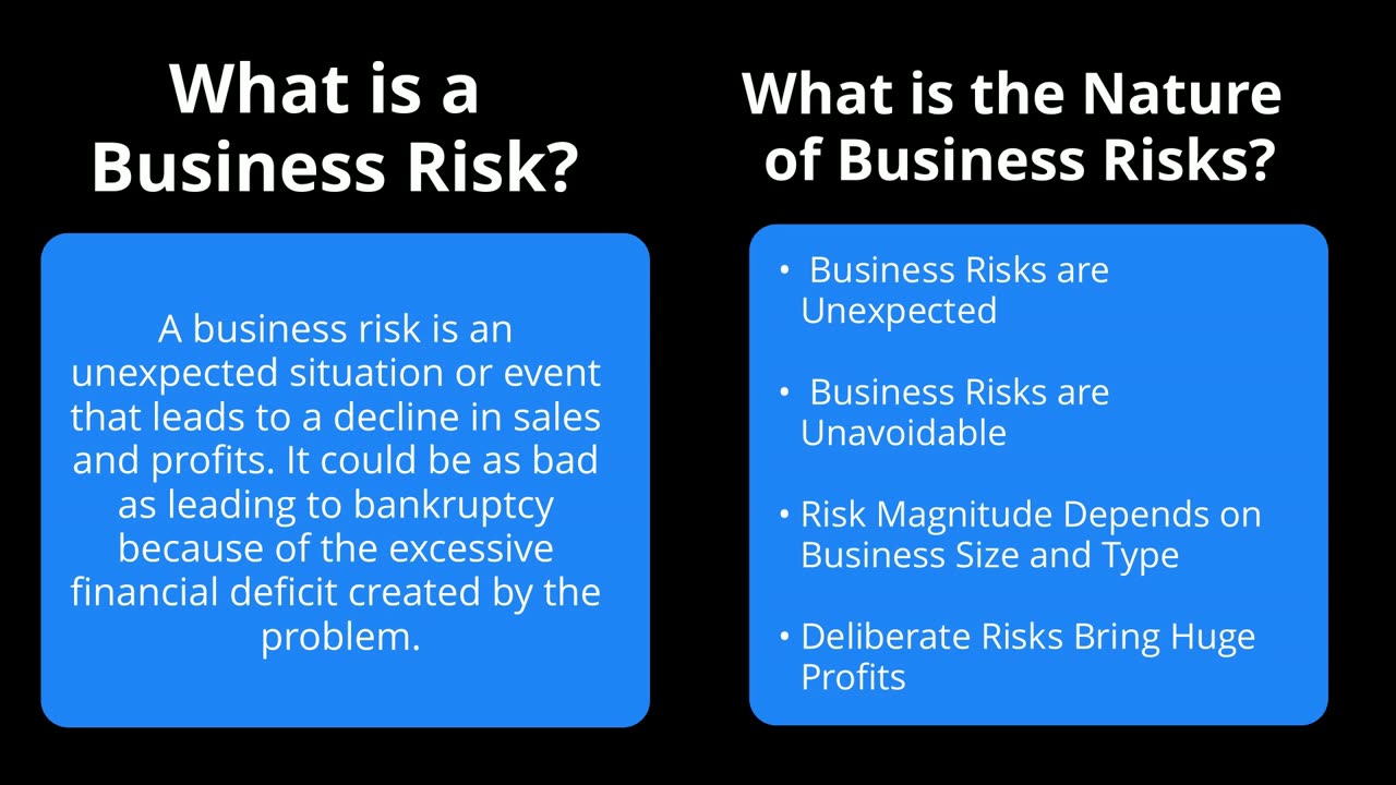 Business Risk - Nature, Types and Causes