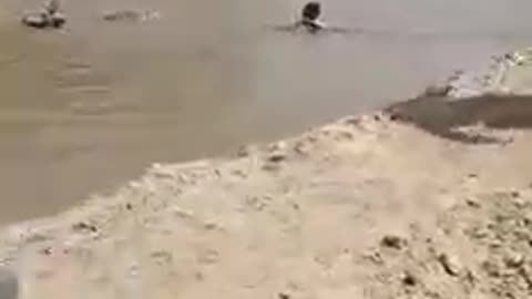 tayo rescue team