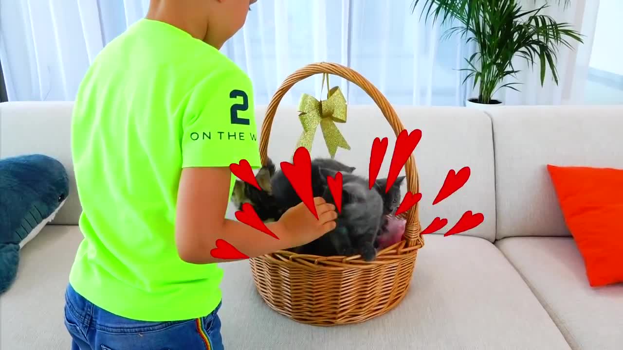 Vlad and Niki play with Kittens