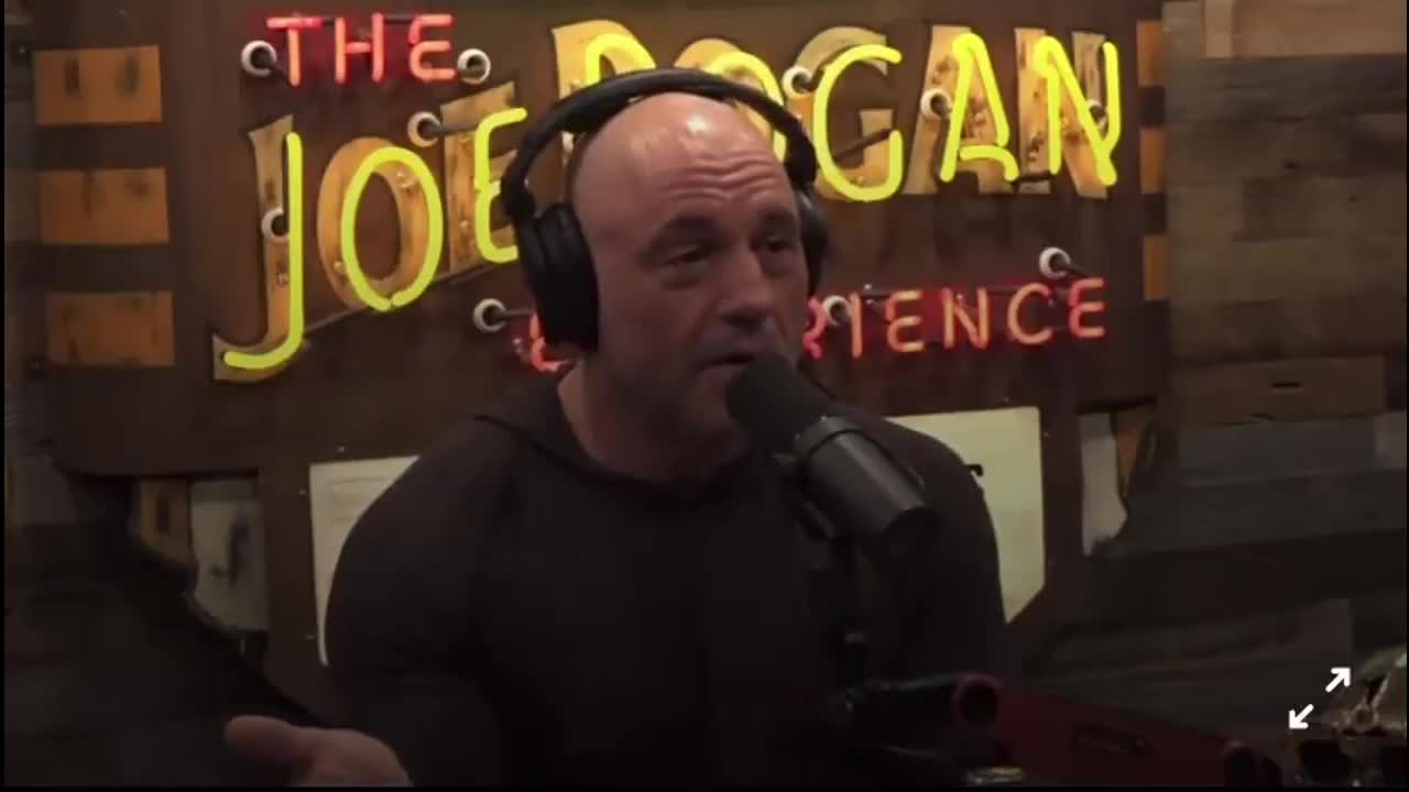 Joe Rogan on teacher installed a litter box in the girl’s bathroom as student identifies as a cat