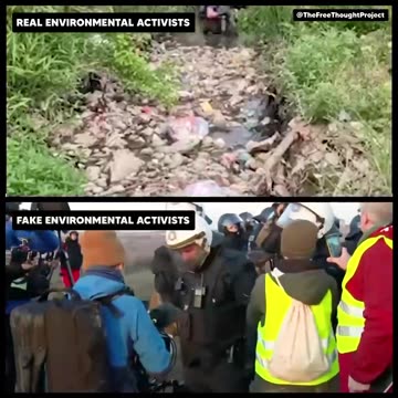 Real vs fake environmental activism.