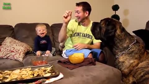 Funny Baby And Dog