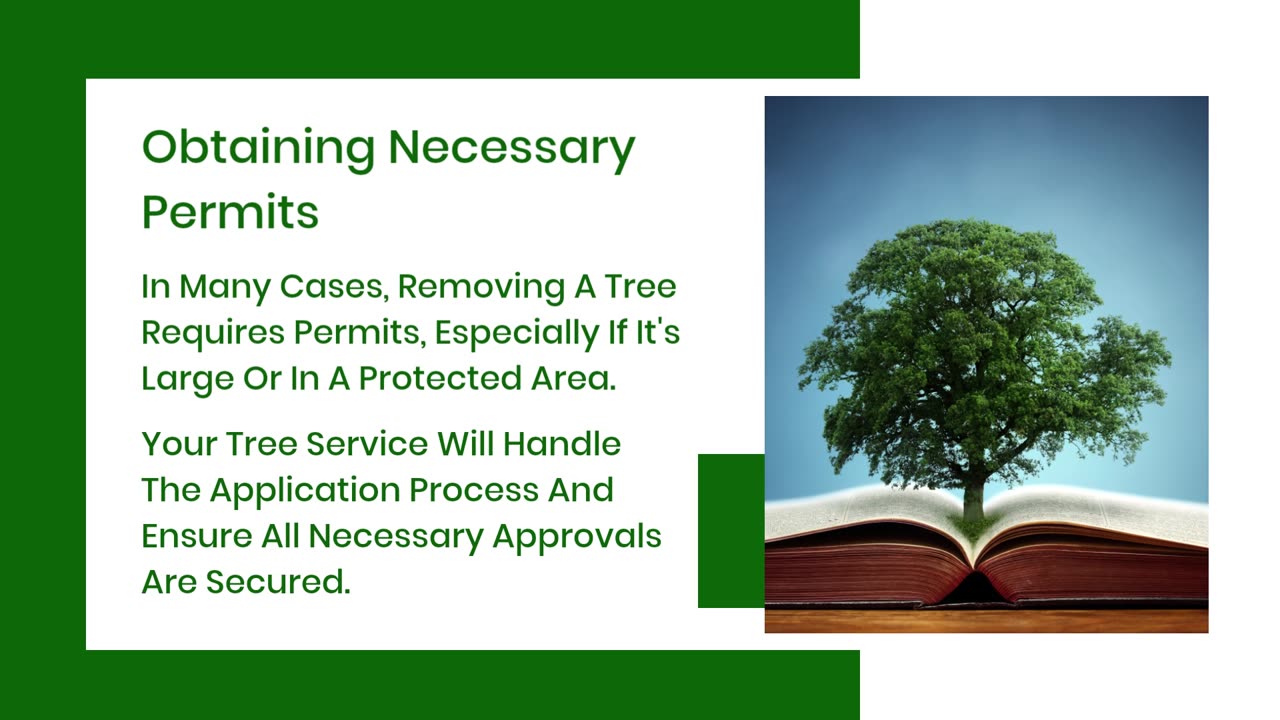 Tree Removal Service OKC