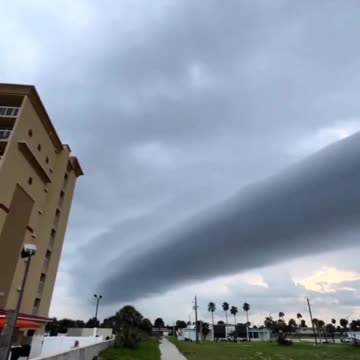 Ok, someone tell me what this is?