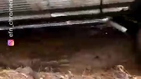 Funny Falls and the end one makes you smile lol haha