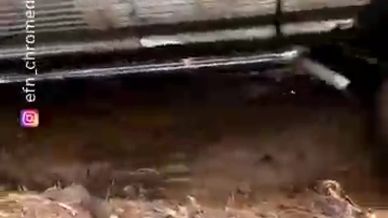 Funny Falls and the end one makes you smile lol haha