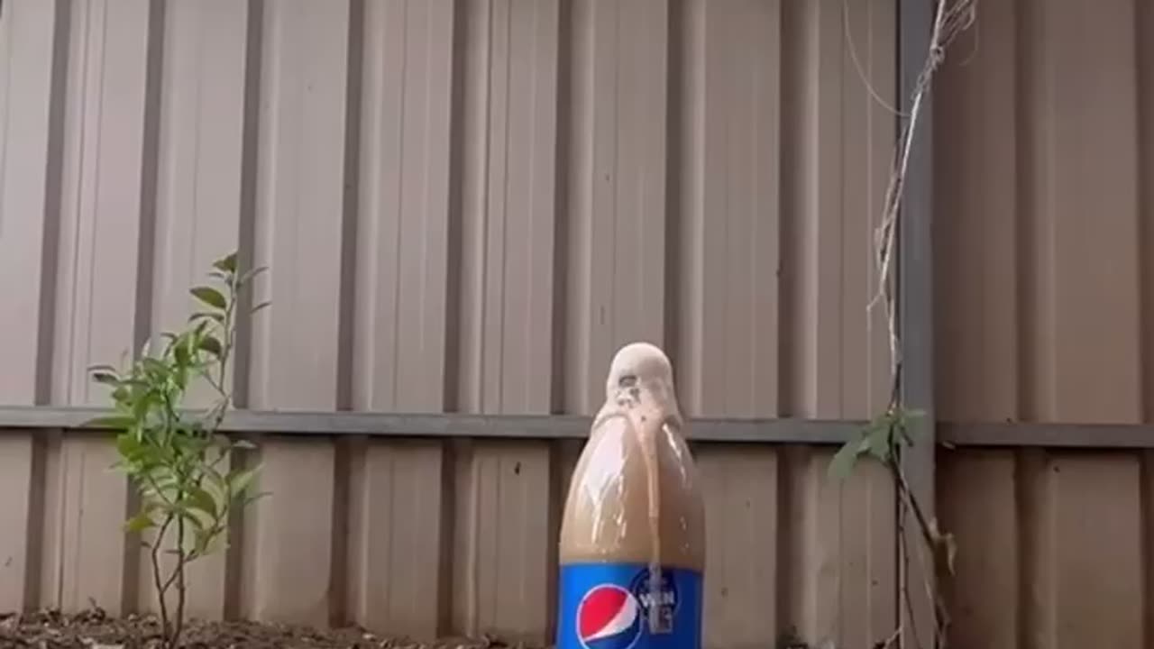 Pepsi vs mentos reverse