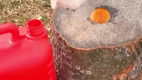 DIY Stump Removal