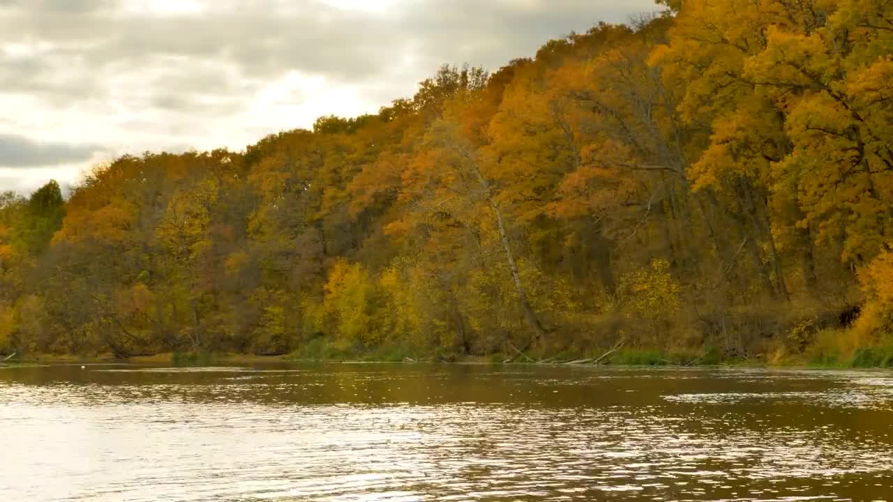 Enchanting Autumn Forests with Beautiful Piano Music