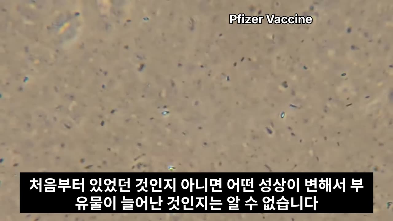 Moderna and Pfizer Vaccines examined under a Microsope!