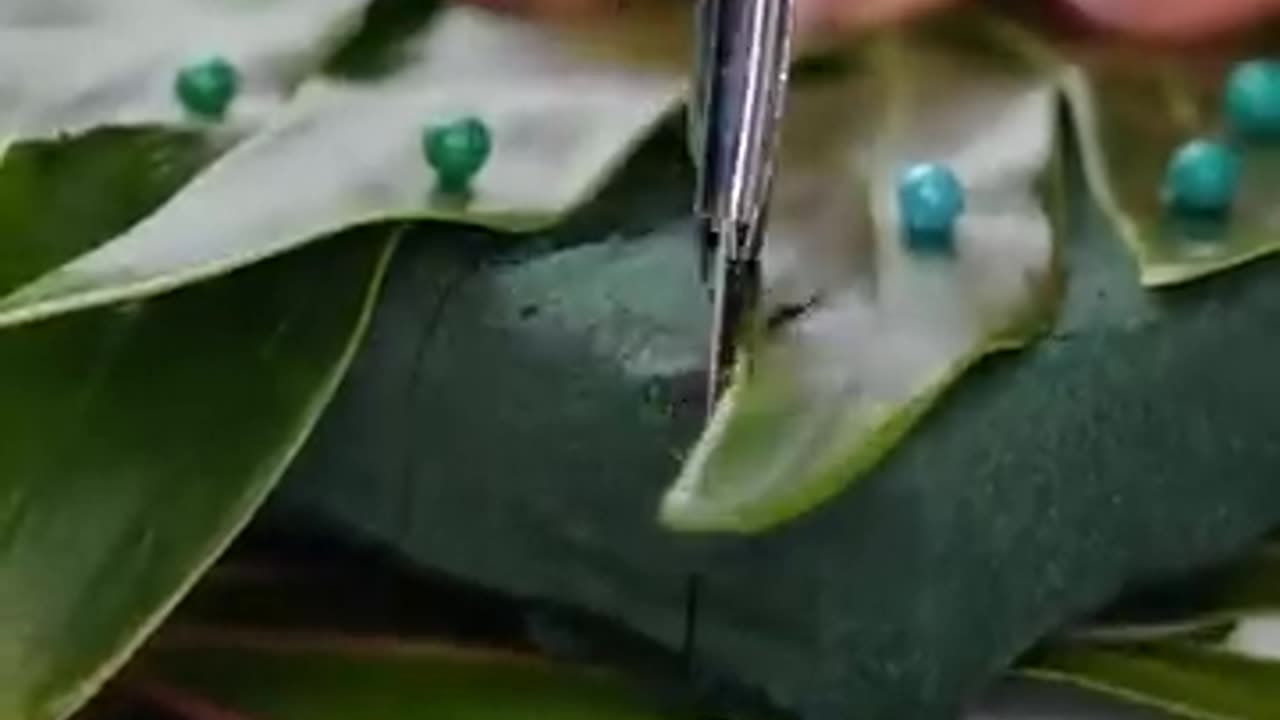 30 Hacks To Grow Your Plants 🌱