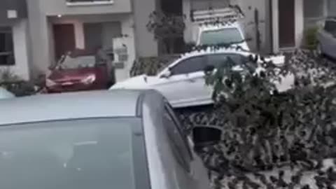 Very strange event is happening in Mexico