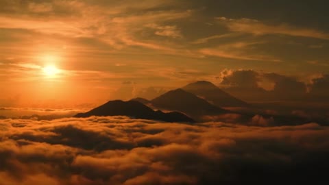 Relaxing Music | Sleeping, Meditation, Stress Relief | [895] ⭐️