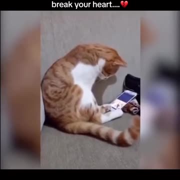 He even looks sad at the end 😥