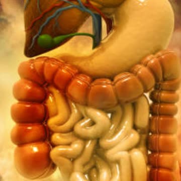 pet ki samasya ka ayurvedic ilaaj