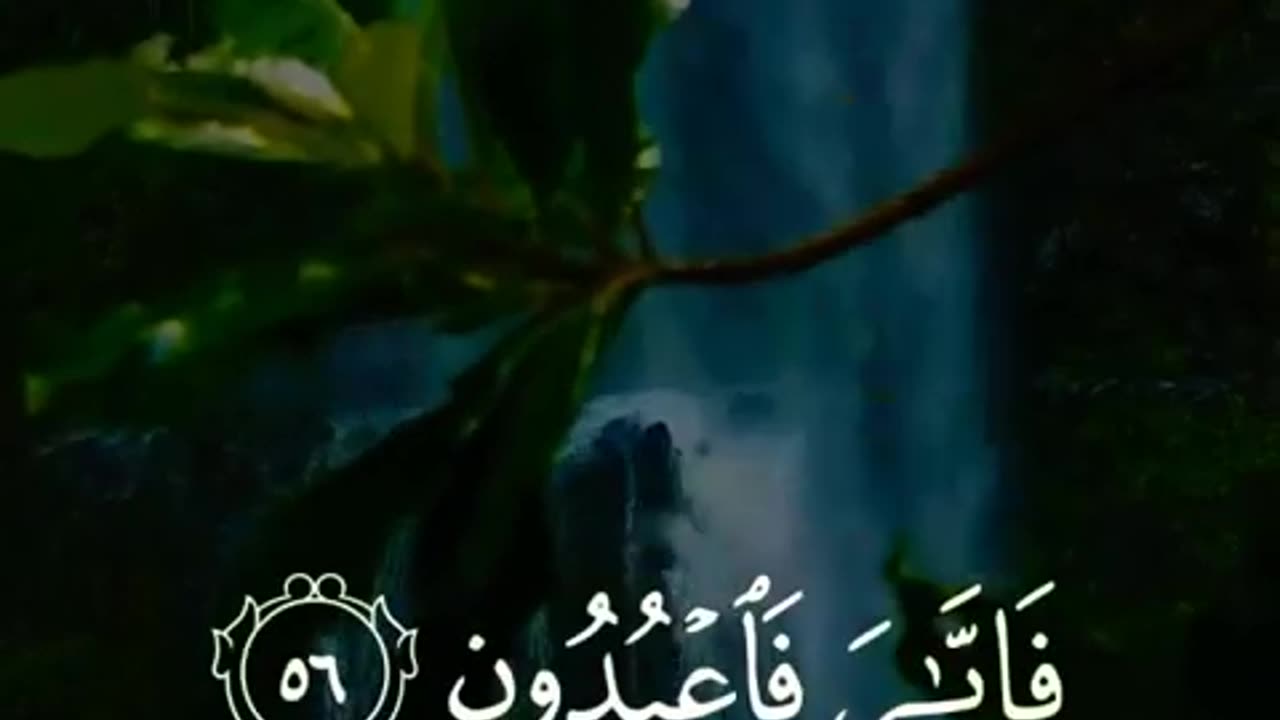 Abdul Rahman Mossad - Quran Tilawat - Islamic Whatsapp status - Beautiful recitation #Shorts 13