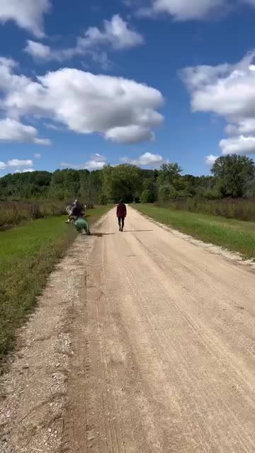 if people rode dinasaours