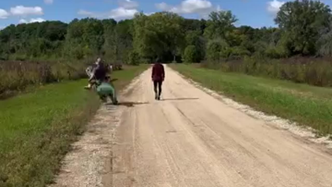 if people rode dinasaours